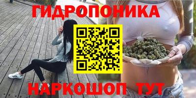 меф Дубна