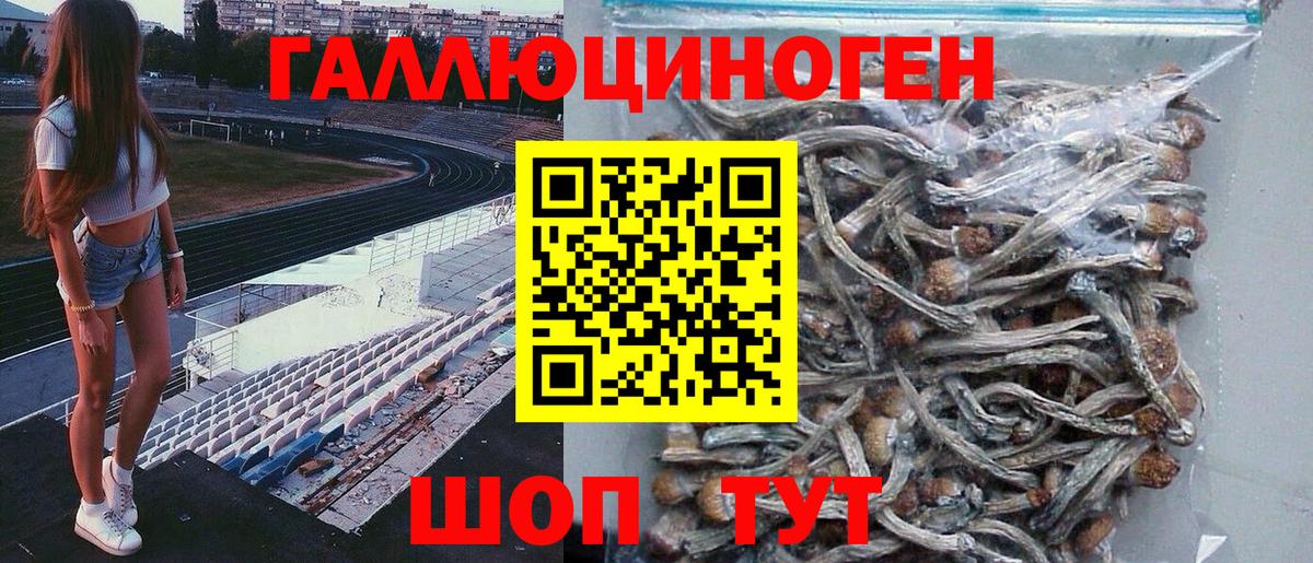 Галлюциногенные грибы мухоморы  Галлюциногенные грибы MAGIC MUSHROOMS  Вход с VPN  Кудрово 