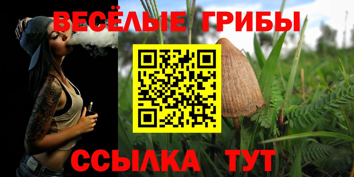 Псилоцибиновые грибы Psilocybe Кудрово